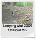 Leogang Mai 2009 Ferienhaus McD
